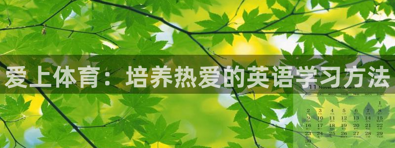 动感熊猫体育公园：爱上体育：培养热爱的英语学习方法