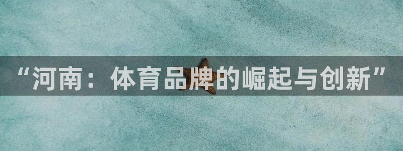 熊猫体育官网：“河南：体育品牌的崛起与创新”