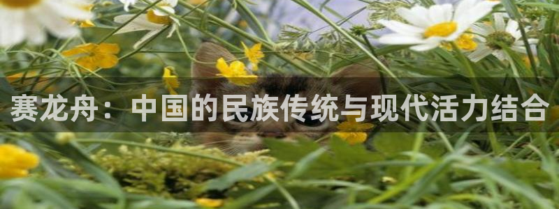 熊猫体育直播nba：赛龙舟：中国的民族传统与现代活力结合