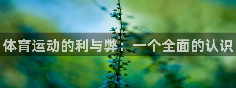 熊猫体育公园：体育运动的利与弊：一个全面的认识