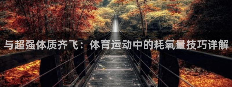 熊猫体育app官方下载最新版：与超强体质齐飞：体育运动中的耗氧量技巧详解