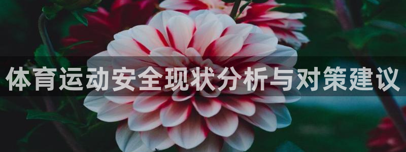 熊猫体育官方网站：体育运动安全现状分析与对策建议