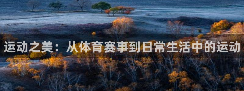 熊猫体育平台官网：运动之美：从体育赛事到日常生活中的运动