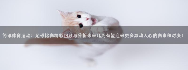 熊猫体育在线：简讯体育运动：足球比赛精彩回顾与分析未来几周有望迎来更多激动人心的赛事和对决！