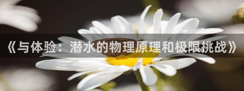 熊猫体育在线观看：《与体验：潜水的物理原理和极限挑战》