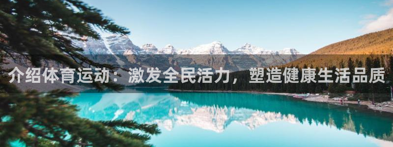 熊猫体育在线：介绍体育运动：激发全民活力，塑造健康生活品质