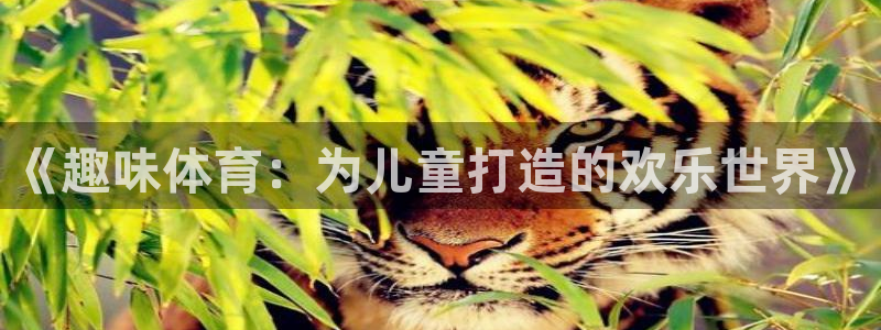 熊猫体育：《趣味体育：为儿童打造的欢乐世界》