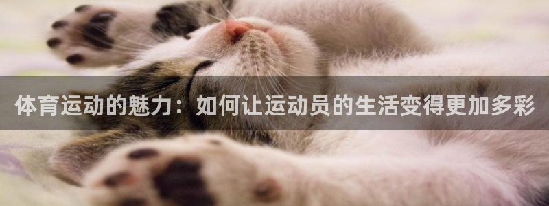熊猫体育网址：体育运动的魅力：如何让运动员的生活变得更加多彩