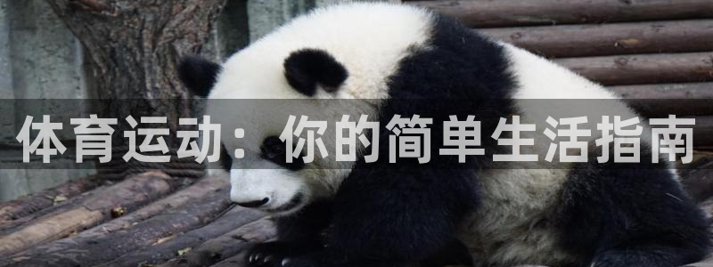 成都熊猫体育公园：体育运动：你的简单生活指南