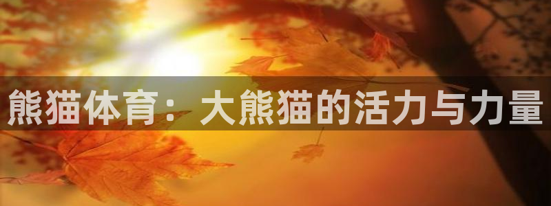 熊猫体育直播nba：熊猫体育：大熊猫的活力与力量