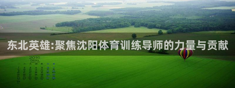 熊猫体育平台官网：东北英雄:聚焦沈阳体育训练导师的力量与贡献