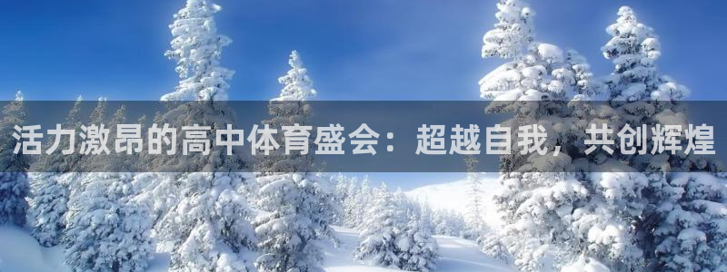 下载熊猫体育：活力激昂的高中体育盛会：超越自我，共创辉煌