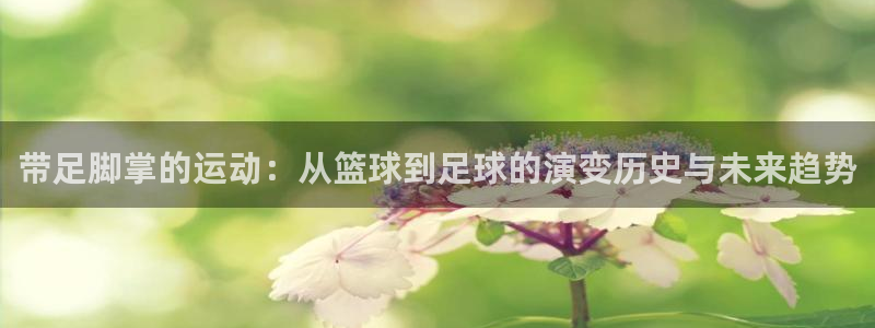 熊猫体育手机版：带足脚掌的运动：从篮球到足球的演变历史与未来趋势