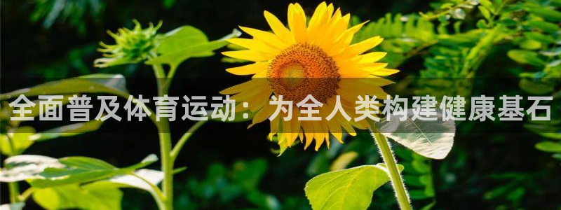 熊猫体育app下载安装：全面普及体育运动：为全人类构建健康基石